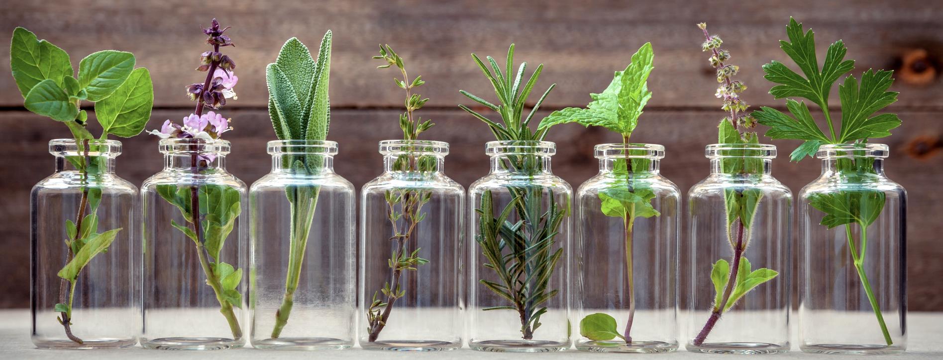 Photo des cosmétiques Pur Pacifique